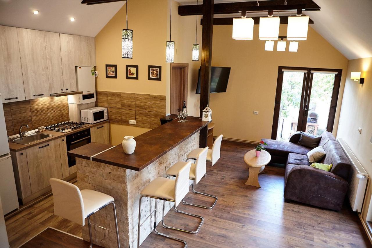 Apartament Rozelor براشوف المظهر الخارجي الصورة