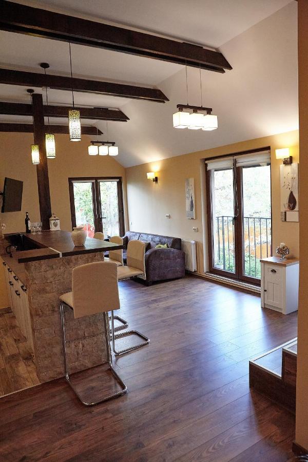 Apartament Rozelor براشوف المظهر الخارجي الصورة